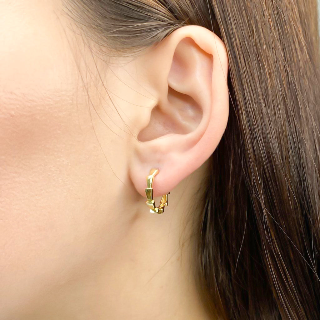 Cercei Aur 14k Snake