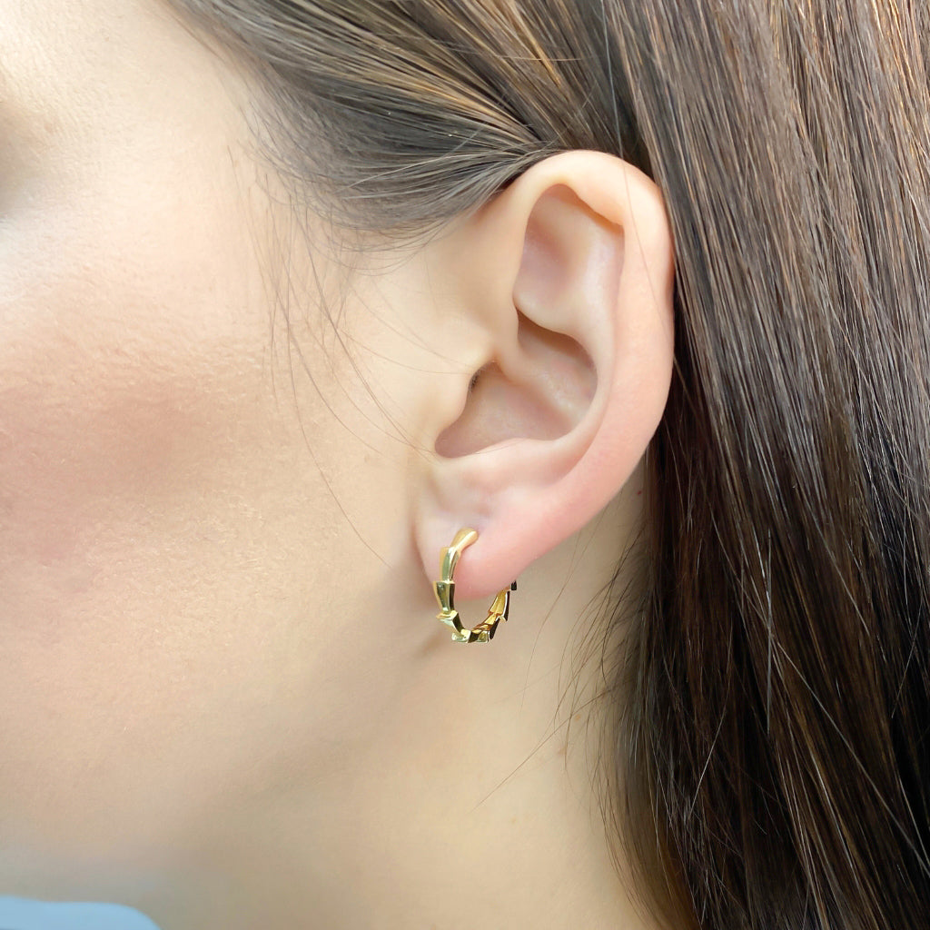 Cercei Aur 14k Snake