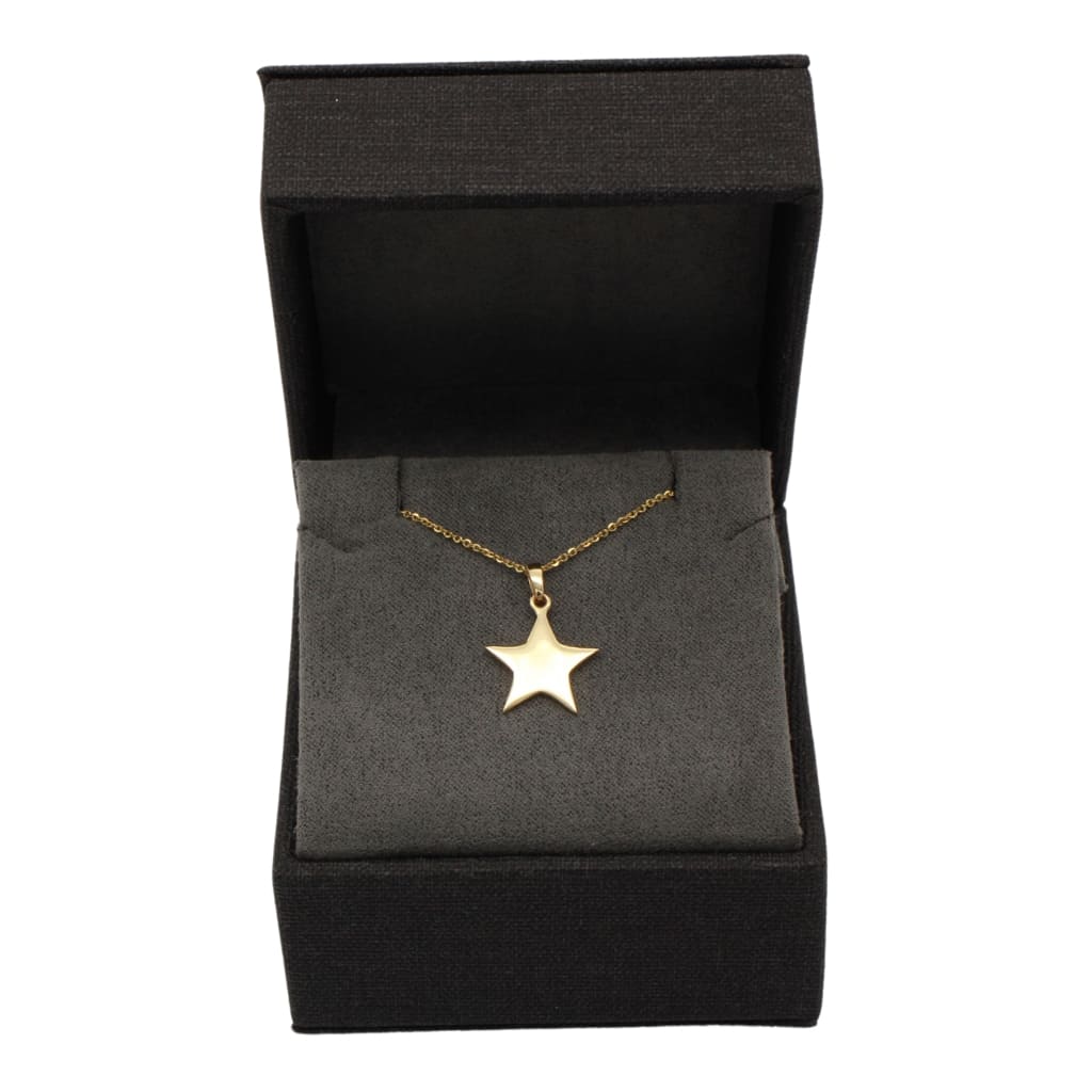 Pandantiv Aur 14k Steluta