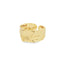 Inel Placat cu Aur Melted