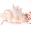Bratara-Placata-cu-Aur-Cruce_2