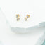 Cercei-Aur-14k-Fluturi-cu-Diamante-0.065ct_2