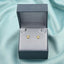 Cercei-Placati-cu-Aur-14k-Broasca-Testoasa_5