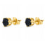 Cercei Placati cu Aur 14k Piatra Neagra