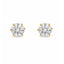 Cercei Placati cu Aur 14k Piatra Solitaire