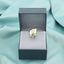 Inel-Placat-cu-Aur-14k-Liquid-Wide-Gold