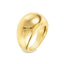 Inel Placat cu Aur 14k Bold