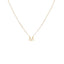 Lant-Placat-cu-Aur-14k-Initiala-M