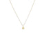 Lant-Placat-cu-Aur-14k-Stea