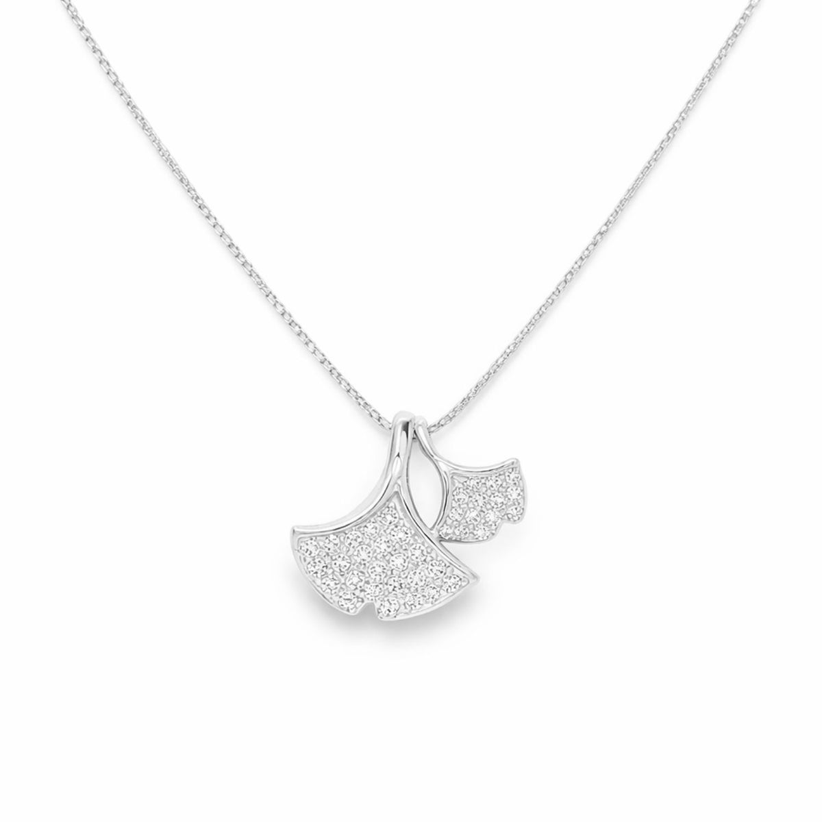 Lant Argint Ginko Biloba