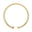 Lant Colier Fix Statement Aura