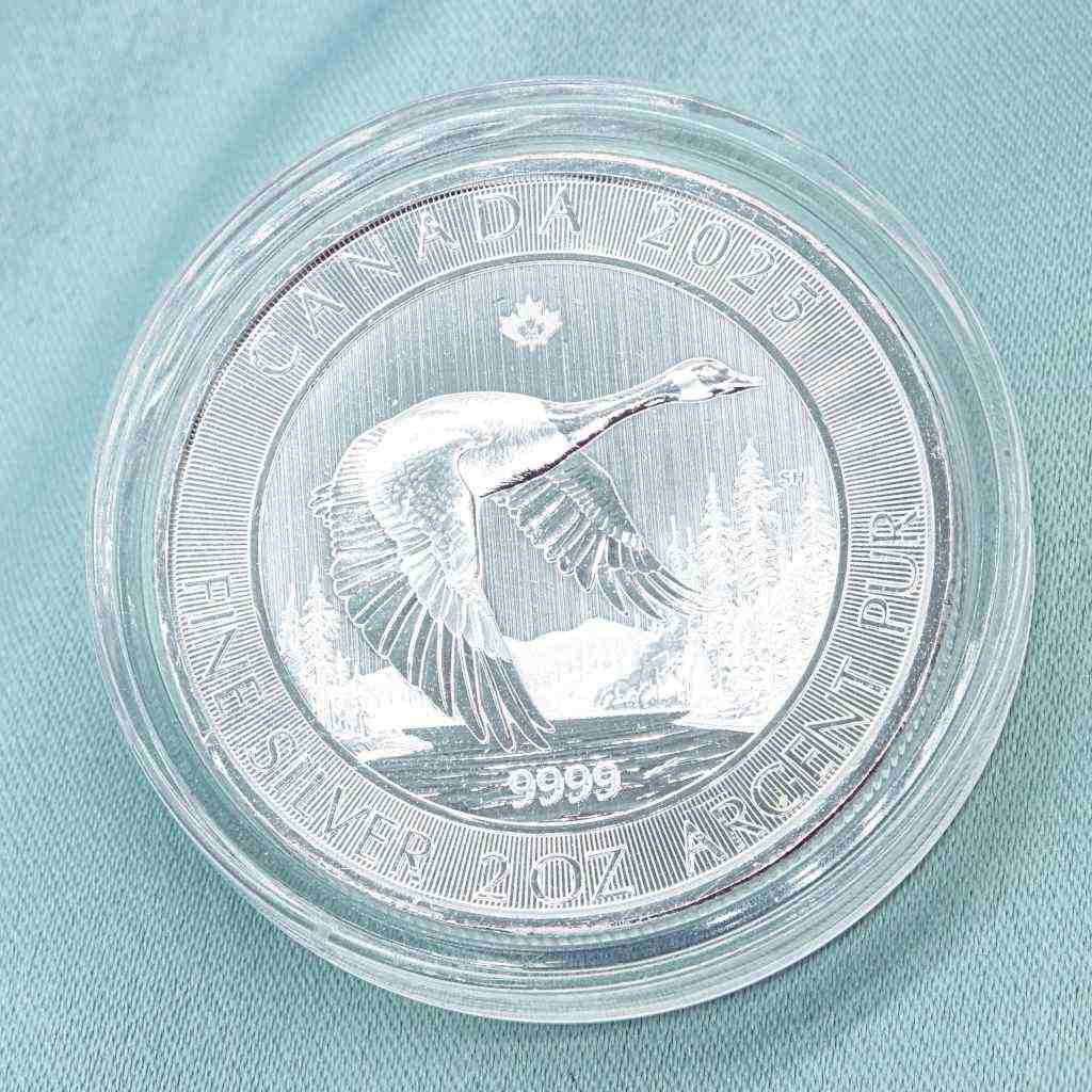 Moneda Argint 2oz Canada Goose 2025