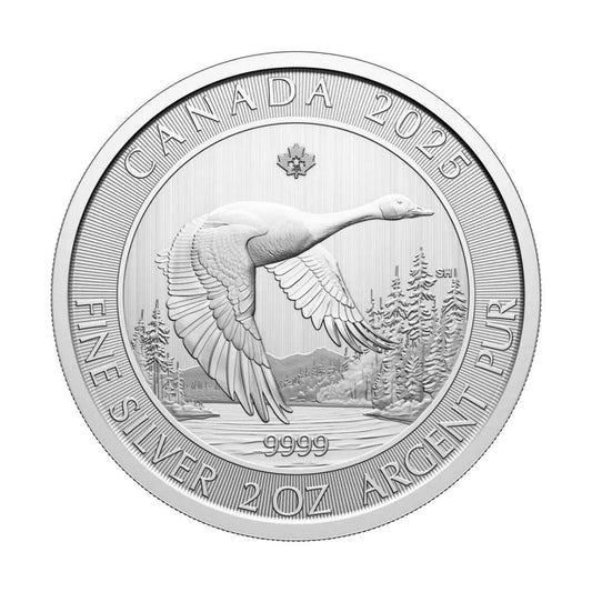 Moneda Argint 2oz Canada Goose 2025