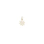 Pandantiv-Aur-14k-Floare_4
