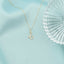 Pandantiv-Aur-14k-Initiala-C