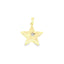Pandantiv-Aur-14k-Stea-cu-Piatra-Zirconia