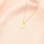 Pandantiv Aur 14k Icoana Rotunda