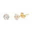 Cercei Aur 14k cu Piatra Zirconia