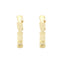 Cercei Aur 14k Snake