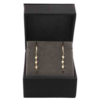 Cercei Lungi Aur 14k Stelute