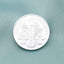 Moneda Argint 1oz Filarmonica din Viena 2024