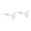 Cercei Argint Round Zirconia