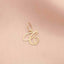 Pandantiv Aur 14k Litera C