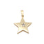 Pandantiv Aur 14k Stea cu Piatra Zirconia